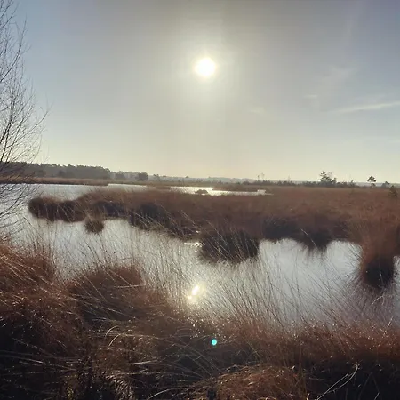 Boswachterhuisje Putte