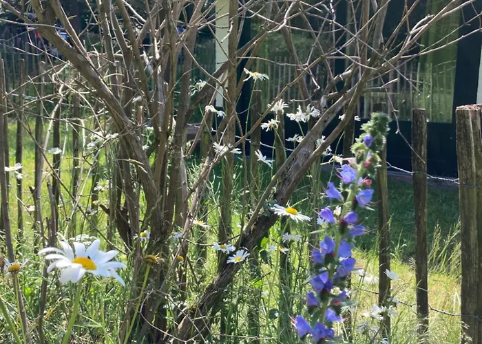 Σπίτι διακοπών Boswachterhuisje Putte