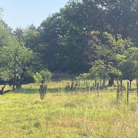 Boswachterhuisje 度假居