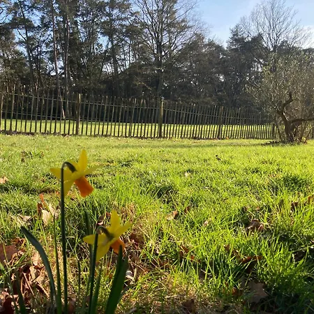 度假居 Boswachterhuisje *