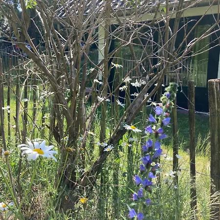 度假居 Boswachterhuisje 皮特