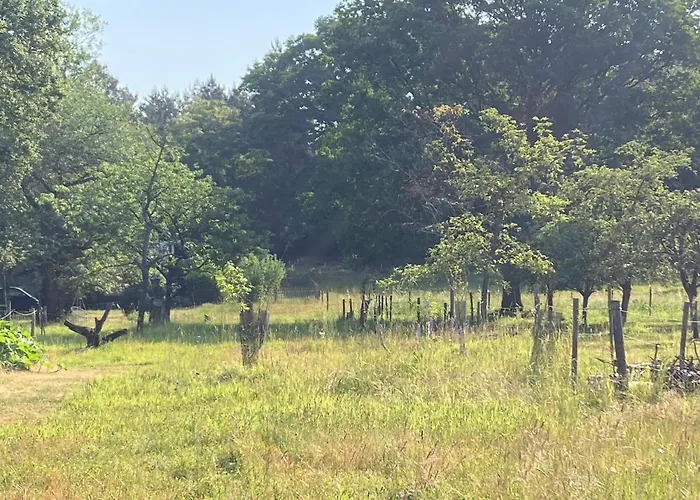 Boswachterhuisje 度假居