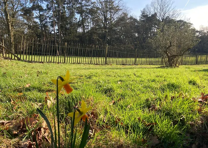 度假居 Boswachterhuisje *