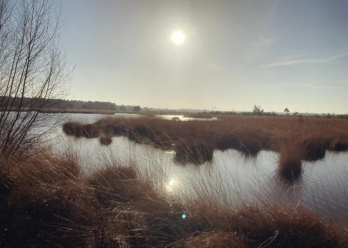 Boswachterhuisje 皮特